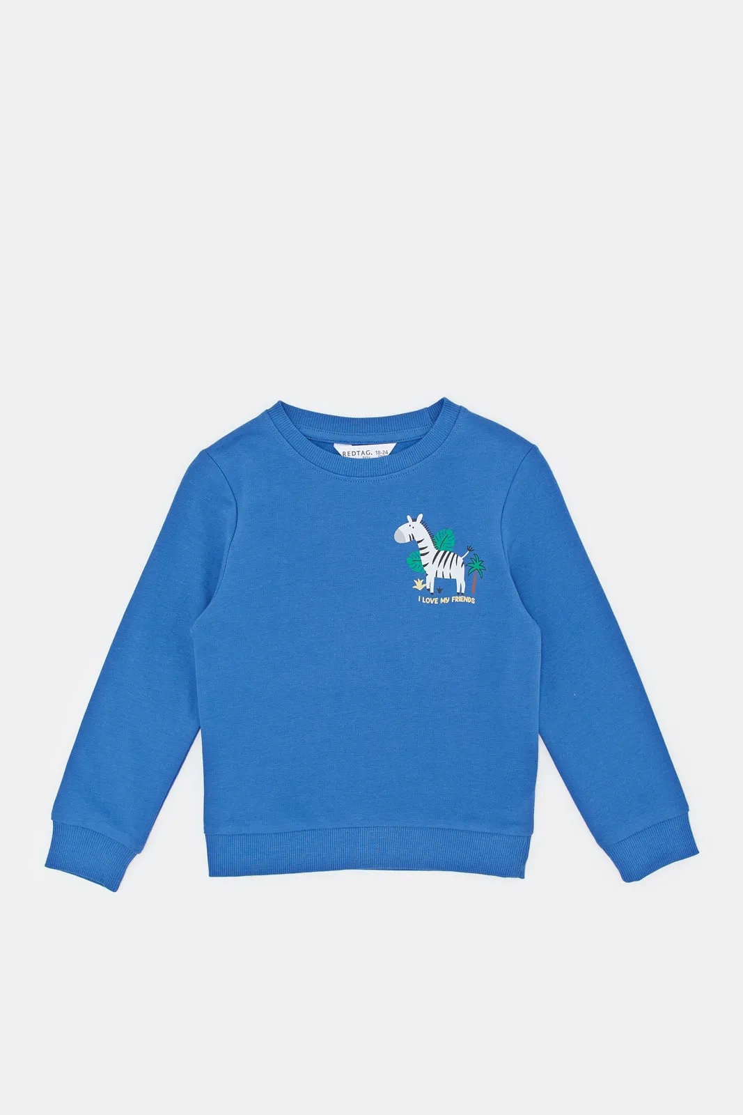 Infant Boys Blue Zebra Print Sweatshirt