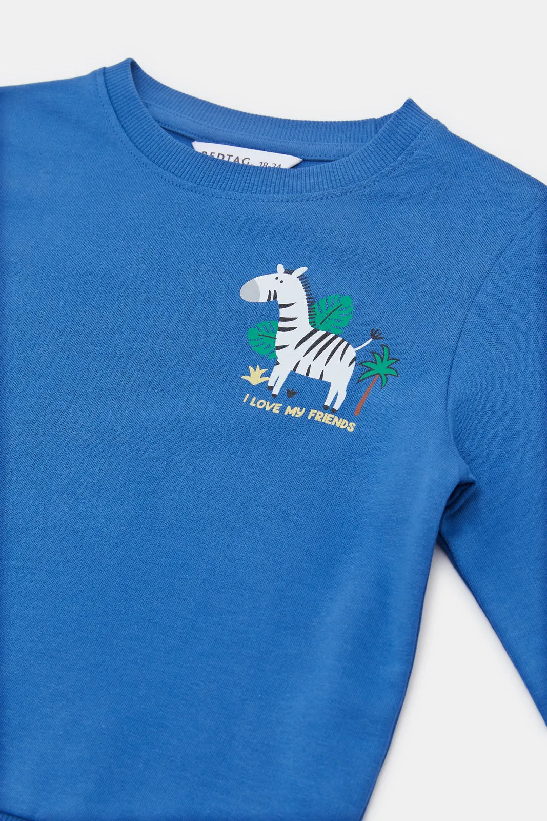 Infant Boys Blue Zebra Print Sweatshirt