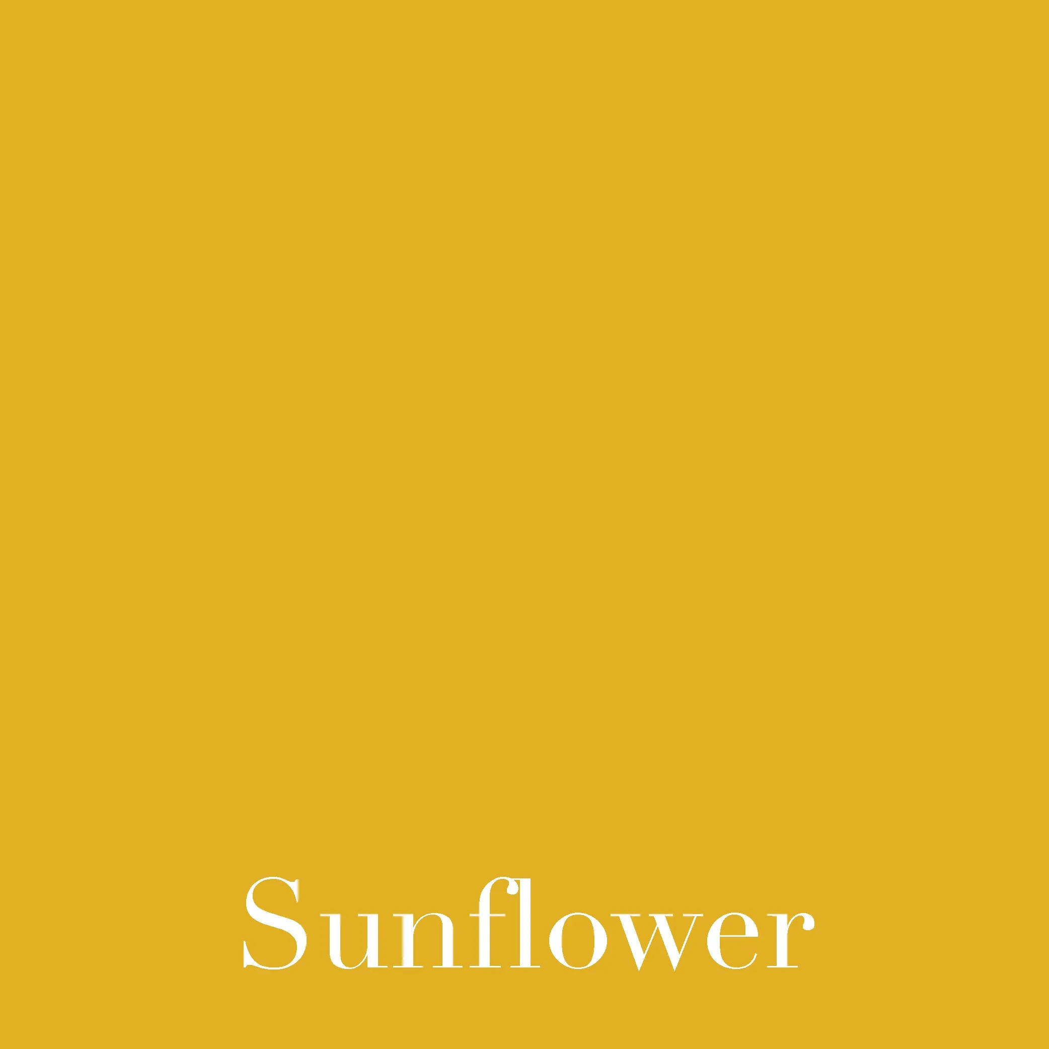 Sunflower - LUXE Solids Jersey Knit - 1/2 Metre