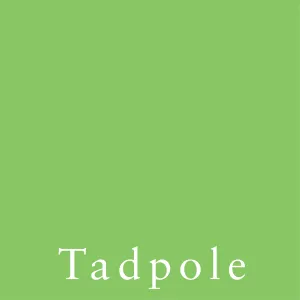 Tadpole - LUXE Solids Jersey Knit - 1/2 Metre